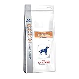 Royal Canin Intestinal Low Fat 12 kg: Análisis y Comparativa del Mejor Alimento para Mascotas con Problemas Digestivos