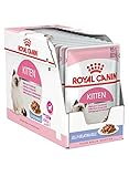 Royal Canin Kitten: Análisis y Comparativa de la Mejor Alimentación para Gatos Jóvenes