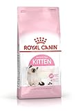 Análisis del Pienso Royal Canin Kitten: ¿Es la Mejor Opción para la Alimentación de tu Gato Joven?
