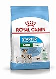 Análisis Comparativo: Mini Starter Royal Canin y las Mejores Opciones de Alimentación para Cachorros