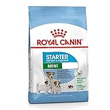 Royal Canin Starter Mini: Análisis Comparativo de la Mejor Opción para Cachorros de Raza Pequeña