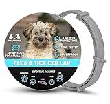 Scalibor para Perros Pequeños: Análisis y Comparativa de los Mejores Productos Antipulgas