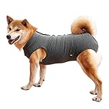 Todo lo que Necesitas Saber sobre el Síndrome Vestibular Geriátrico en Perros: Guía Completa y Comparativa de Productos para su Cuidado