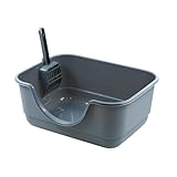 ¿Por qué mi gata hembra orina fuera del arenero? Soluciones y productos recomendados para un hogar más armonioso