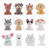 Los Mejores Productos para Cachorros Teckel Miniatura: Análisis y Comparativa Esencial para tu Nuevo Compañero