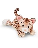 Todo lo que Necesitas Saber sobre el Gato Bengalí Gris: Análisis y Comparativa de los Mejores Productos para su Cuidado