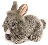 Todo lo que Debes Saber sobre el Angora Gris: Análisis y Comparativa de los Mejores Productos para Su Cuidado y Bienestar