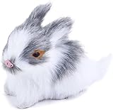 Todo lo que Debes Saber sobre el Precio del Conejo Mini Lop: Análisis y Comparativa de los Mejores Productos para su Cuidado