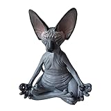 Todo lo que Necesitas Saber Antes de Comprar un Gato Sphynx: Análisis y Comparativa de los Mejores Productos para su Cuidado
