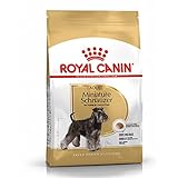 Guía de Precios y Mejores Productos para el Schnauzer Mini: Todo lo que Necesitas Saber