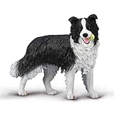 Todo lo que Necesitas Saber para la Adopción de un Cachorro Border Collie: Análisis de los Mejores Productos para su Cuidado