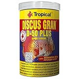 Guía de Compra: Análisis y Comparativa de los Mejores Peces Disco para Tu Acuario
