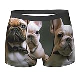 Todo lo que Necesitas Saber sobre Cachorros Boxer a la Venta: Comparativa de los Mejores Productos para Su Cuidado y Bienestar