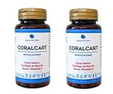Coral Platy Fish: Análisis y Comparativa de los Mejores Productos para Su Cuidado y Bienestar