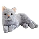 Todo lo que Necesitas Saber sobre el Gato Bengalí Gris: Análisis y Comparativa de los Mejores Productos para Su Cuidado