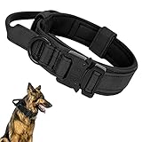 Los Mejores Collares para Border Collie: Análisis y Comparativa de Productos Esenciales para tu Mascota