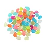 Los Mejores Kits de Peceras de Colores: Análisis y Comparativa para Crear el Acuario Ideal para tus Mascotas