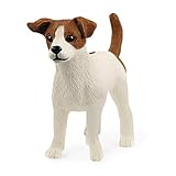 Los Mejores Productos para Cuidar a tu Jack Russell Terrier Mini: Análisis y Comparativa