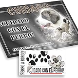 Explorando los Pirineos con tu Perro: Comparativa de los Mejores Equipos y Accesorios para una Aventura Perfecta