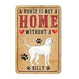Todo lo que necesitas saber sobre el perro raza Billy: Análisis y comparativa de los mejores productos para su cuidado