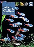Los Mejores Peces Tropicales de Agua Dulce: Análisis y Comparativa de las Razas Más Populares para tu Acuario