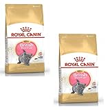 Los Mejores Productos para Cuidar a Tus Gatos British Bebés: Análisis y Comparativa