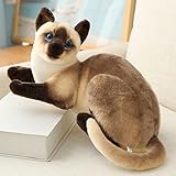 Los Mejores Accesorios para Gatos Siameses: Comparativa de Productos Esenciales a la Venta