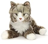 Análisis del Gato Bosque de Noruega: Precios, Características y Comparativa con Otras Razas