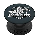Todo Sobre el Hypancistrus Zebra L46: Análisis y Comparativa de los Mejores Acuarios y Accesorios para su Cuidado