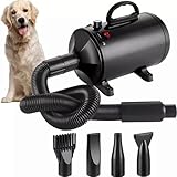 Top 5 Secadores para Perros: Análisis y Comparativa de los Mejores Productos del Mercado