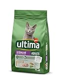 Últimas Tendencias en Productos para Gatos: Análisis y Comparativa de lo Mejor en 2023