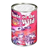 Análisis de True Origins: ¿Son las Latas para Perros la Mejor Opción para la Alimentación de tu Mascota?