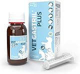 Vetgastril para Gatos: Análisis y Comparativa de los Mejores Suplementos Digestivos para tu Mascota