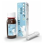 Vetgastril Plus: Análisis y Comparativa de Suplementos Digestivos para Mantener la Salud de Tu Mascota