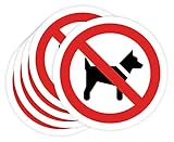 Zotal Prohibido: Alternativas Seguras y Efectivas para el Cuidado de tus Mascotas