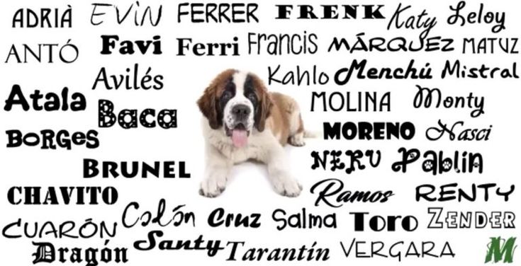 1000 Nombres para Perros