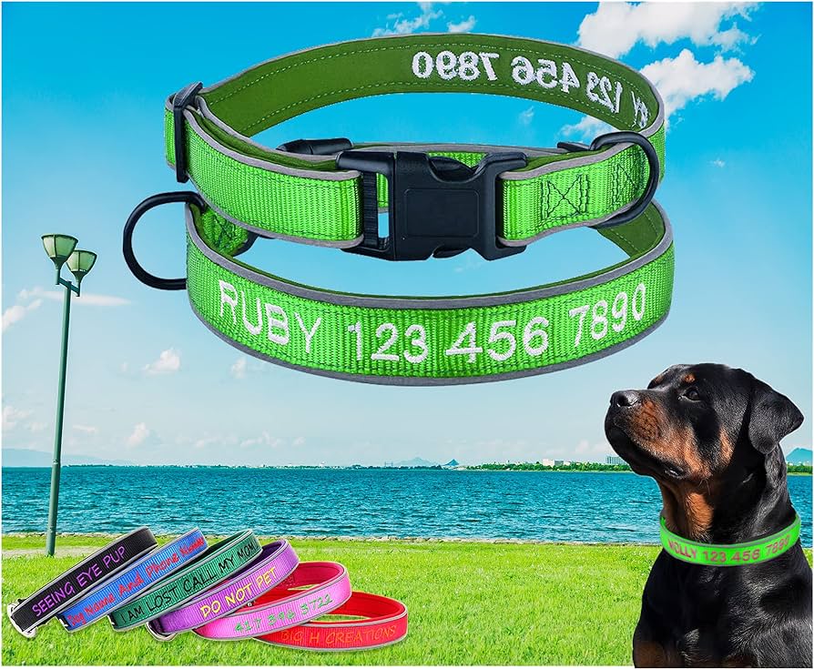 Collares para Perros con Nombre Bordado