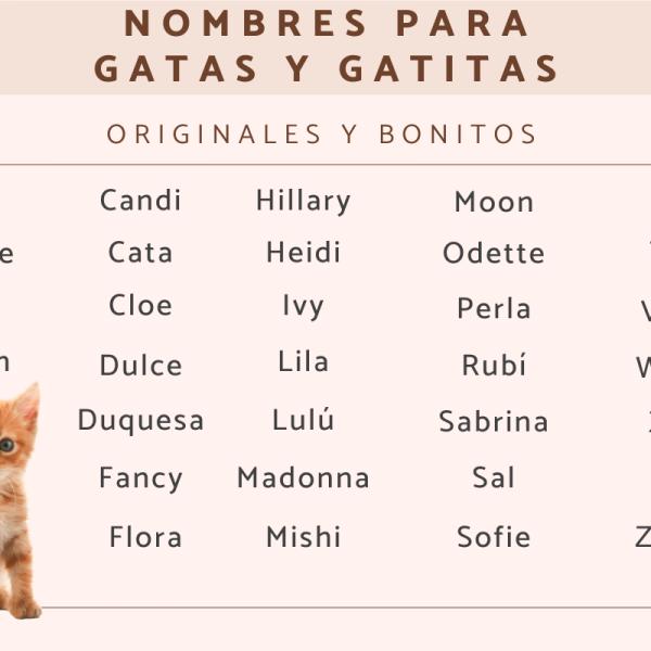 Dime nombres para gatos 5