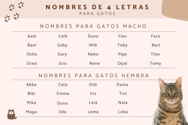 Generador de nombres para gatos 5