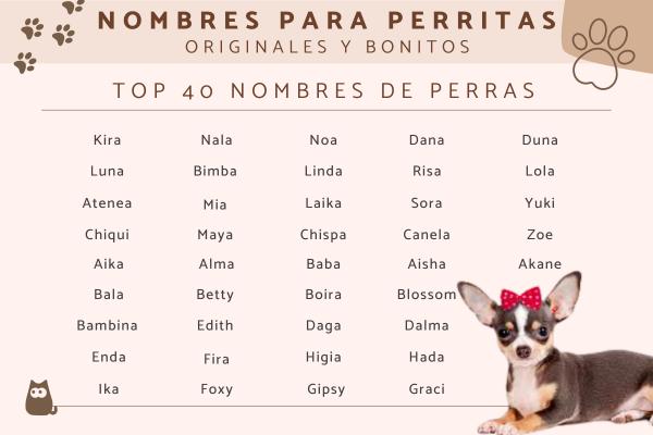 Los Mejores Nombres para Perros Hembras