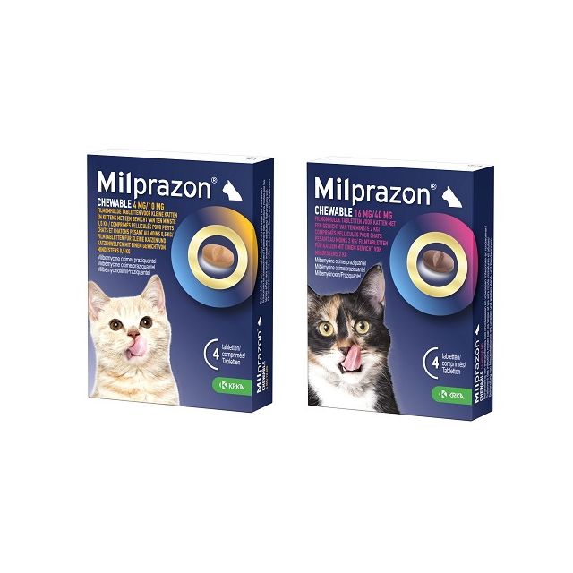 Nombre de pastillas para desparasitar gatos 5