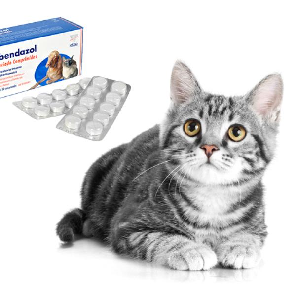 Nombre de Pastillas para Desparasitar Gatos