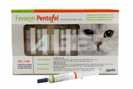 Nombre de vacunas para gatos 3