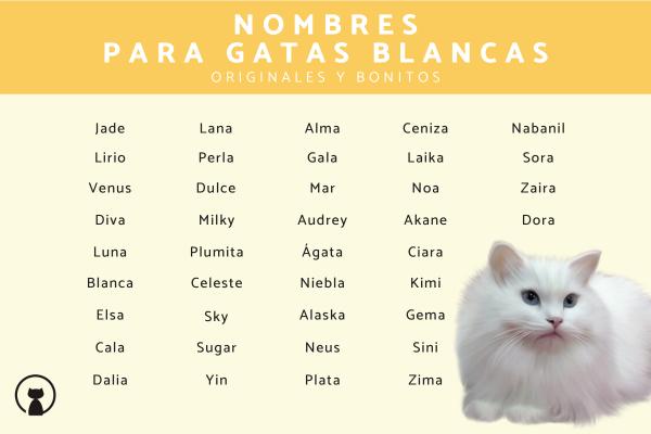 Nombre para Gatas Blancas con Manchas