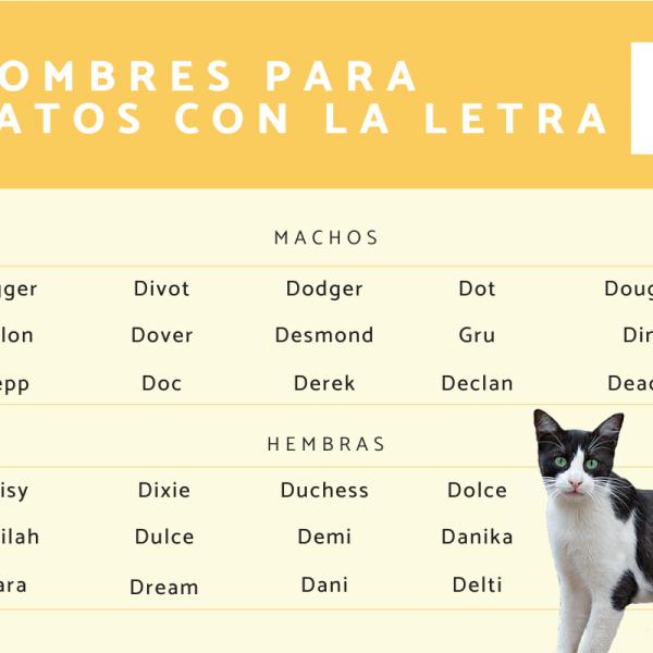 Nombre para gato macho negro y blanco 5