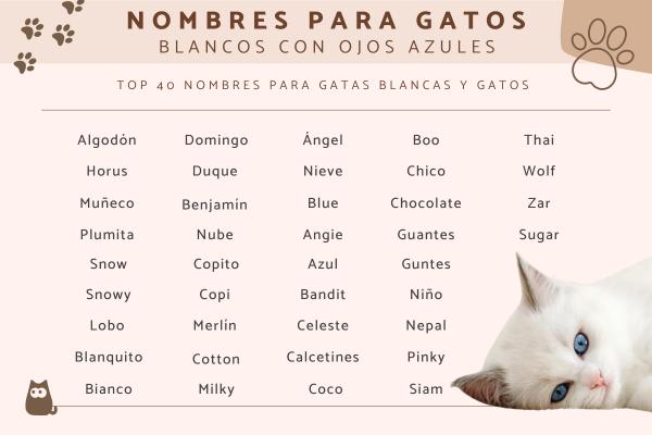 Nombre para Gatos con Heterocromía