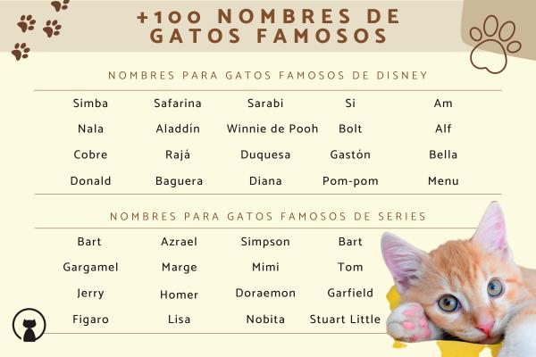 Nombre para gatos carey 6
