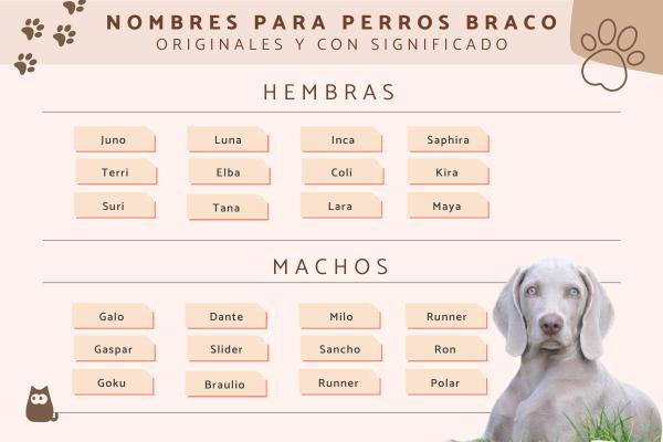 Nombre para perro de caza 1