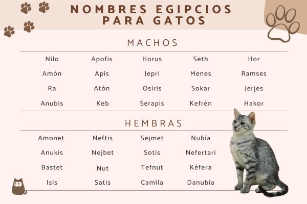 Nombres Antiguos para Gatos