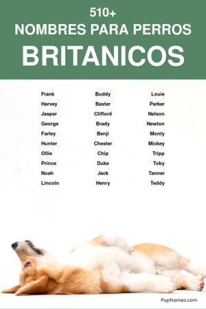 Nombres Británicos para Perros